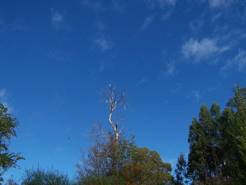 Drumreagh Cabins - Hotel QLD 8