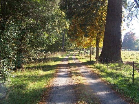 Drumreagh Cabins - Hotel QLD 5