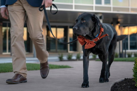 Peppers Silo - Hotel QLD 44