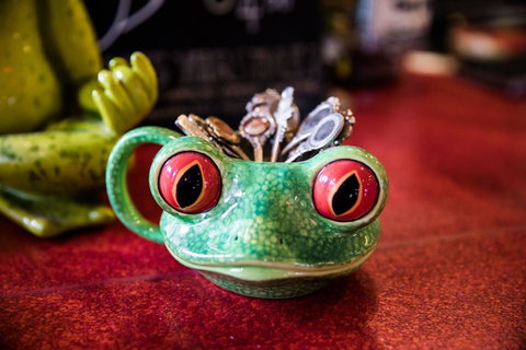 The Pickled Frog - Hotel QLD 13