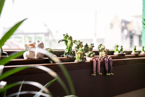 The Pickled Frog - Hotel QLD 12