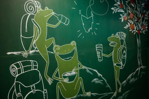 The Pickled Frog - Hotel QLD 20