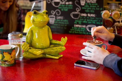 The Pickled Frog - Hotel QLD 30