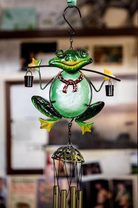 The Pickled Frog - Hotel QLD 35