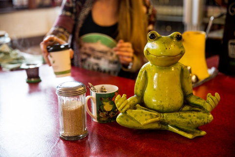 The Pickled Frog - Hotel QLD 32
