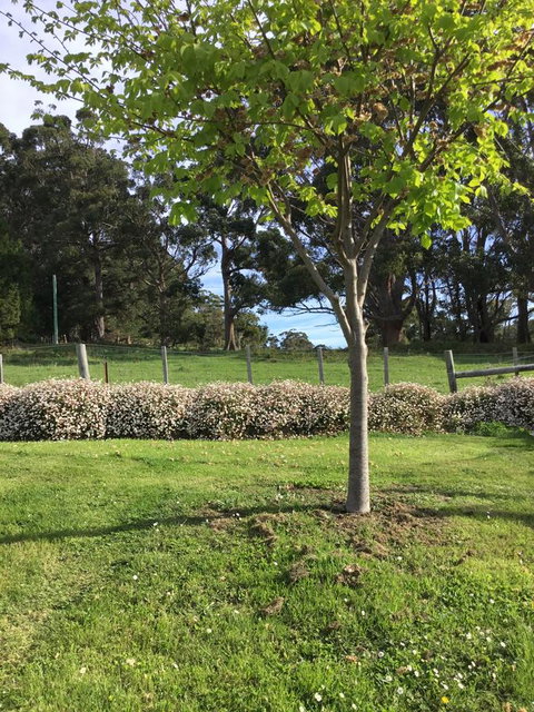 Nextdoor@portarthur - Hotel QLD 17