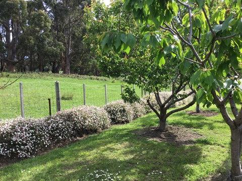 Nextdoor@portarthur - Hotel QLD 18