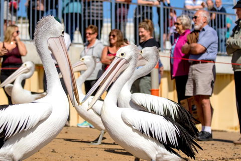 BIG4 Ingenia Holidays Phillip Island - Hotel QLD 17