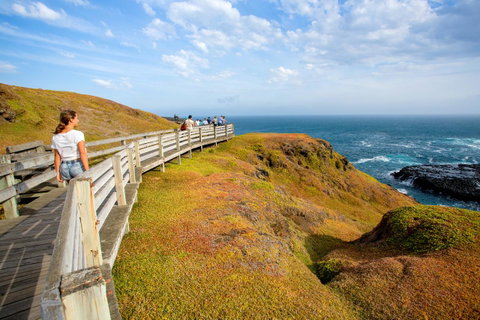BIG4 Ingenia Holidays Phillip Island - Hotel QLD 19