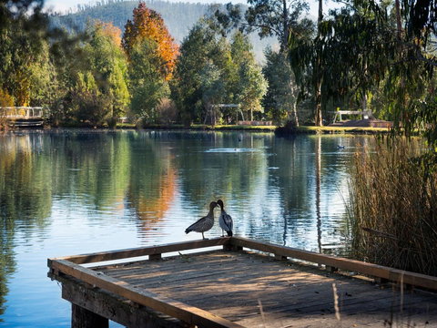 Peppers Marysville - Hotel QLD 12