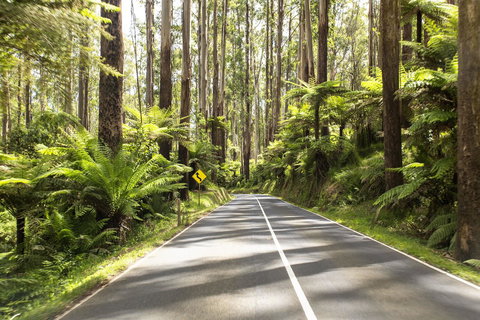 Peppers Marysville - Hotel QLD 21