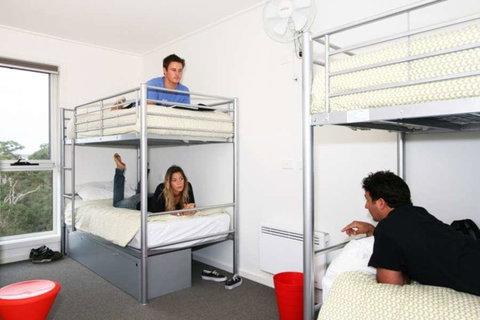 The Island Accommodation - Hotel QLD 2
