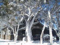 Book Dinner Plain Accommodation Vacations Hotel QLD Hotel QLD
