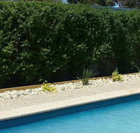 Robinvale Bridge Motel