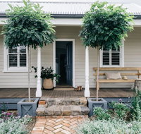Acre of Roses - Hotel QLD