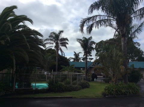 Tropicana Motor Inn - Hotel QLD 37