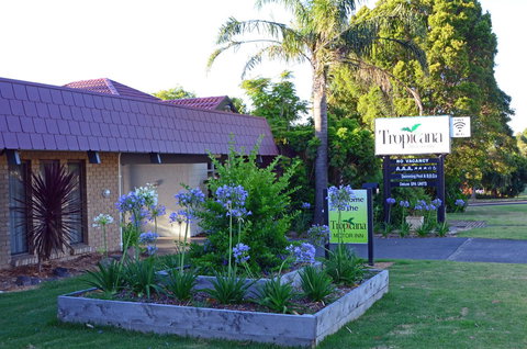 Tropicana Motor Inn - Hotel QLD 10