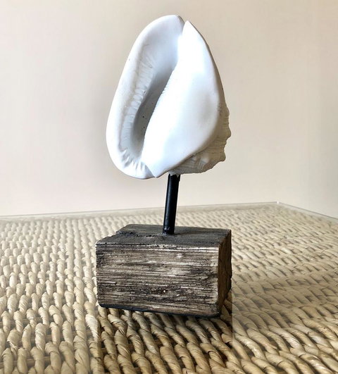 Sea Shells On Banyan Apartment - Hotel QLD 9