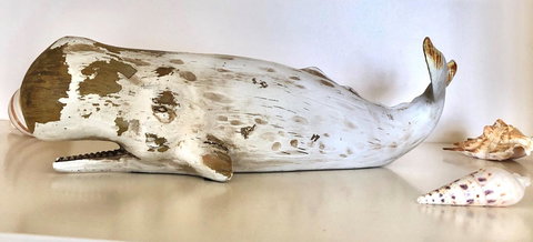 Sea Shells On Banyan Apartment - Hotel QLD 4