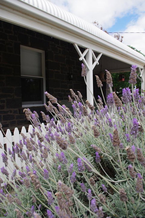 Little River Bed And Breakfast - Hotel QLD 30