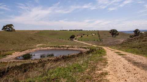 Tintagel - Hotel QLD 31