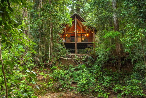 The Canopy Rainforest Treehouses & Wildlife Sanctuary - Hotel QLD 0