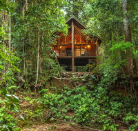 The Canopy Rainforest Treehouses  Wildlife Sanctuary - Hotel QLD