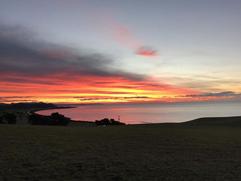 The Cove Tasmania - Hotel QLD 1