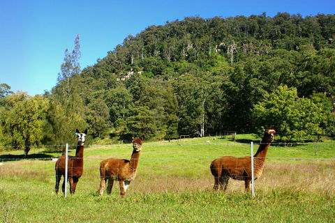 The Heavens Mountain Escape - Hotel QLD 2
