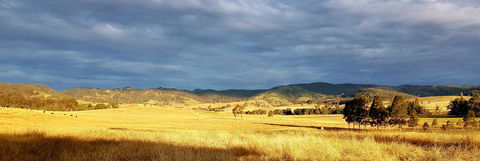 The Wattle Lodge - Hotel QLD 1