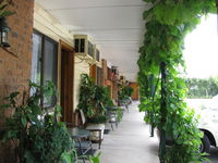 Book Muswellbrook Accommodation Vacations Hotel QLD Hotel QLD