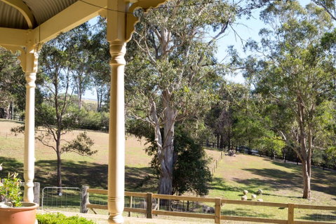 The Willows At Kurrajong - Hotel QLD 1