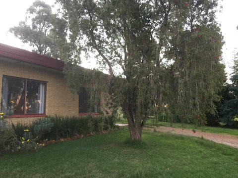 Tree Of Love Farm Stay - Hotel QLD 1