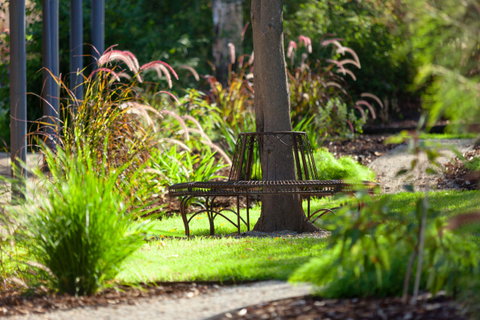 Blazing Stump Motel & Suites - Hotel QLD 35
