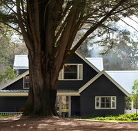The Orchard - Hotel QLD