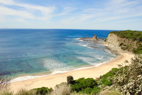 Perfect For Family Fun - Hotel QLD 10