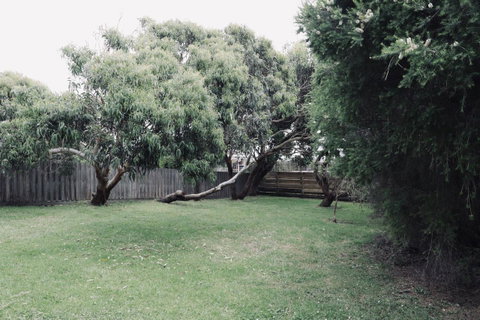 Red Ceder Cottage - Great Ocean Road - Port Campbell - Hotel QLD 24