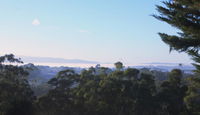 Book Monbulk Accommodation Vacations Hotel QLD Hotel QLD