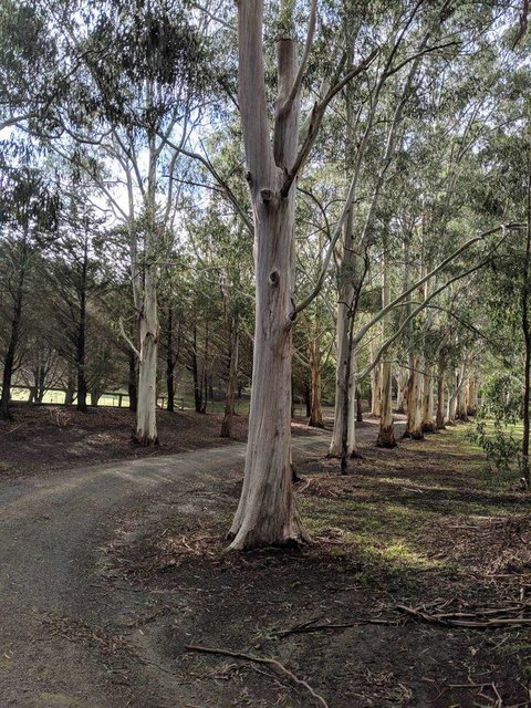 Kangaroo Manor - Hotel QLD 10