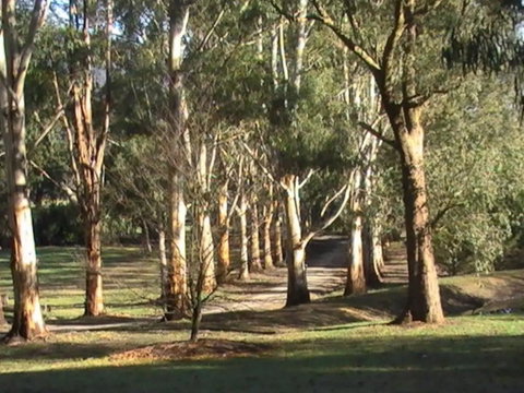 Kangaroo Manor - Hotel QLD 21