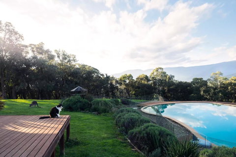 Kangaroo Manor - Hotel QLD 23