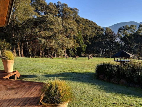 Kangaroo Manor - Hotel QLD 5