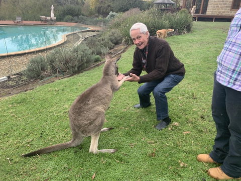 Kangaroo Manor - Hotel QLD 13
