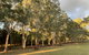 Kangaroo Manor - thumb 15