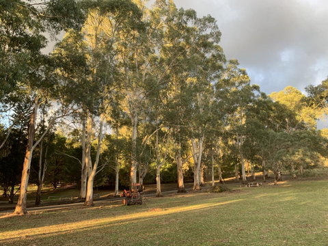 Kangaroo Manor - Hotel QLD 15