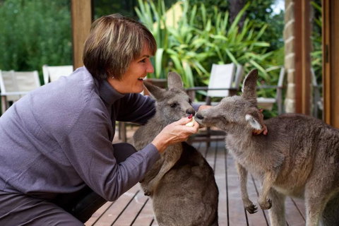 Kangaroo Manor - Hotel QLD 20