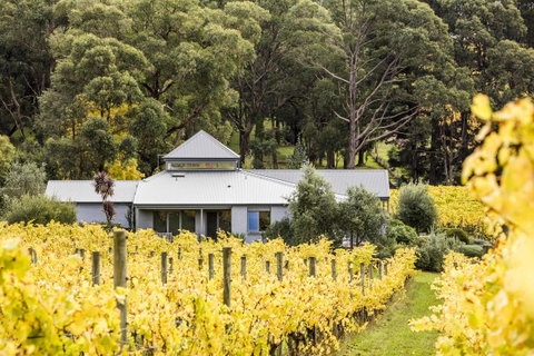 Polperro Villas - Hotel QLD 22