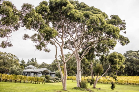 Polperro Villas - Hotel QLD 20