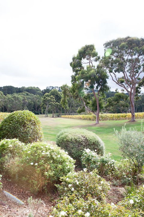 Polperro Villas - Hotel QLD 16