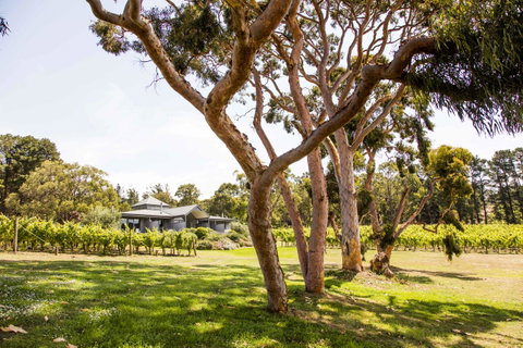 Polperro Villas - Hotel QLD 17